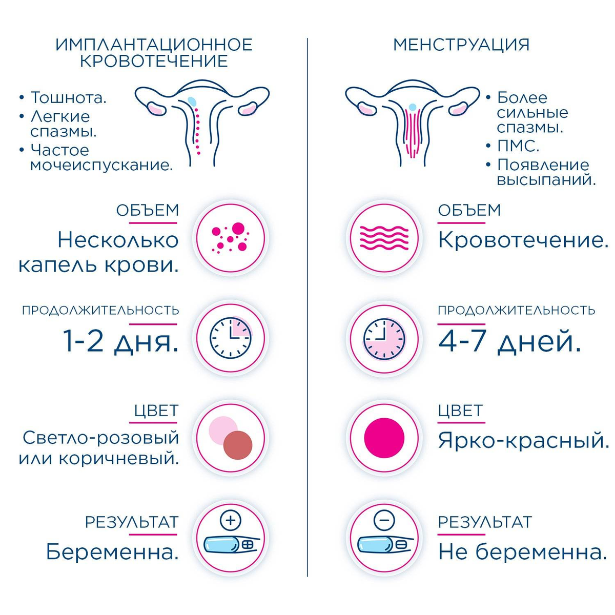 Срок жизни сперматозоида